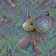 n13044778 earthstar
